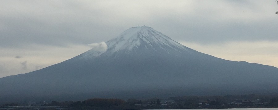Mt Fuji from a park